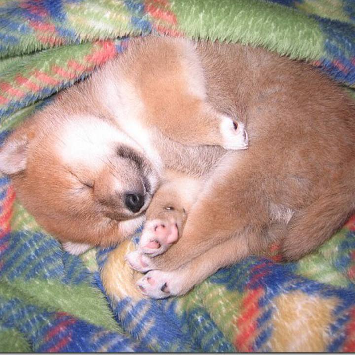 12c7fc16 efe9 4d6c abed ecfb8c5e63ac