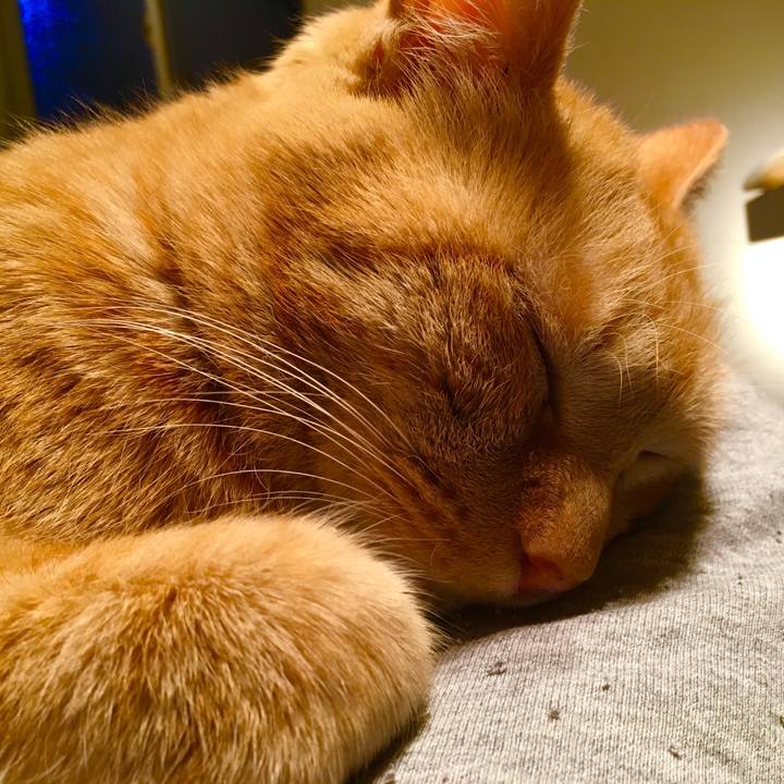 12c851bb 1ec3 4e5a b25b 080e69c9a9ef