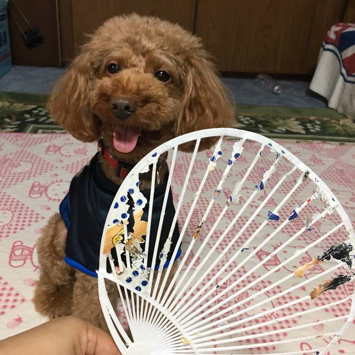 12c8c947 002c 495d 82a2 91b22896ac03