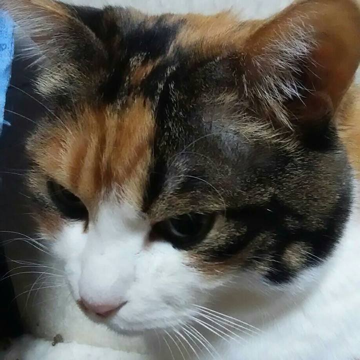 12c91b0e f8a9 4949 87ae c545c62fd571