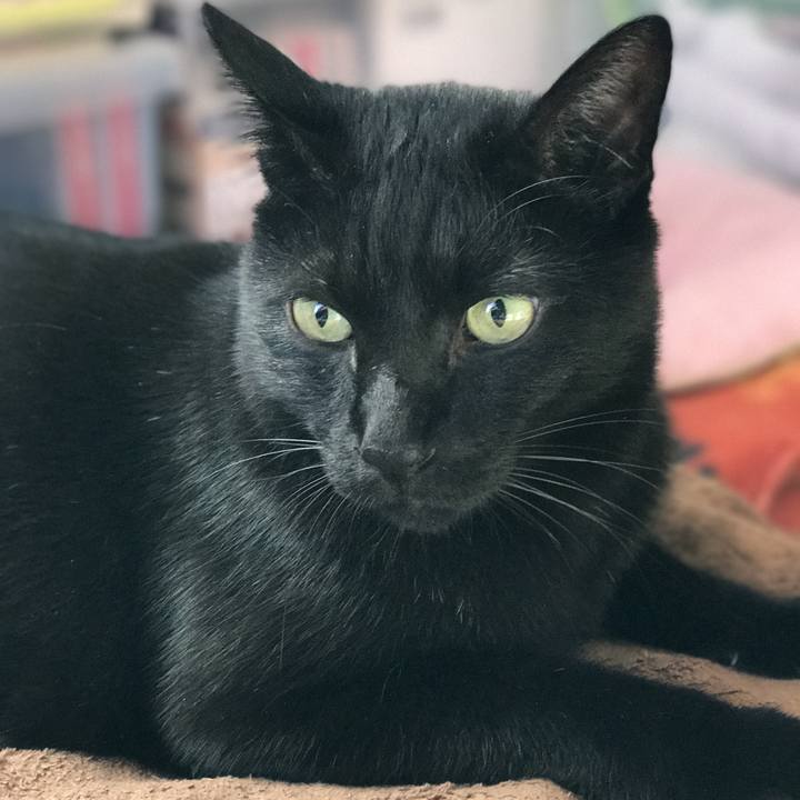 12c92025 d952 4f64 8b53 94a991989e14