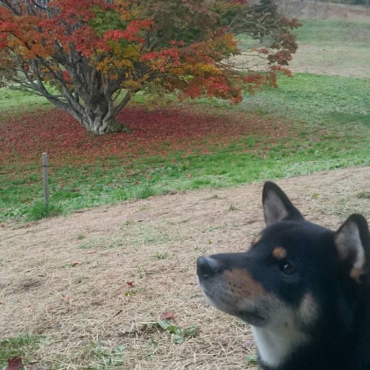 12c97ea2 287d 4788 be2c 8d97192547d9