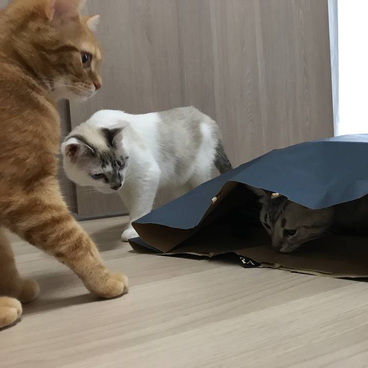 12c9a375 0faf 4a36 9928 4189c0884e0d