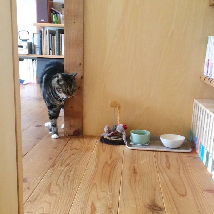 12ca8fc9 6ac3 46af a4e5 850f1e52fd32