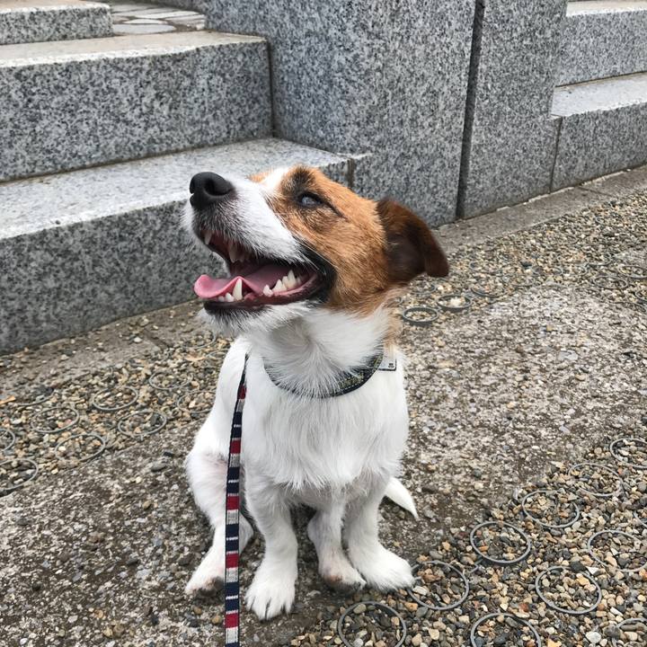 12caa70f c337 4662 9398 c8b6b8576fb9