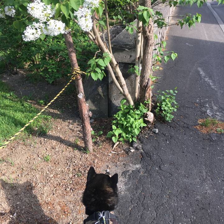 12cac896 9908 4136 81eb 58daec75d48e