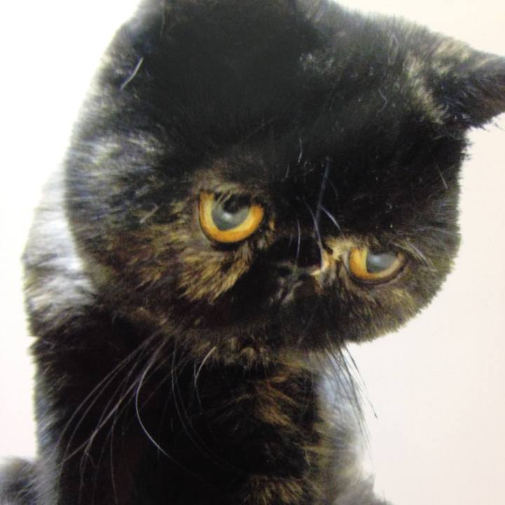 12cc131f ad56 42aa 823c 35d7798e2262