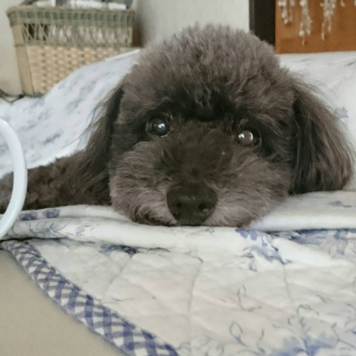 12cc87fd ea2b 4ca4 8419 3dcb651e7047