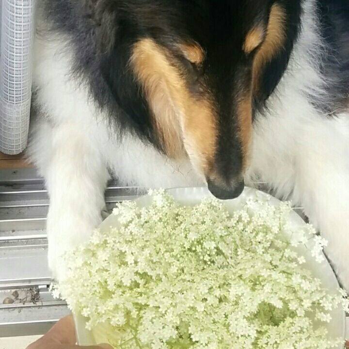 12cdb3bd 2f0a 415d 8a88 27c8d3ffe4ac