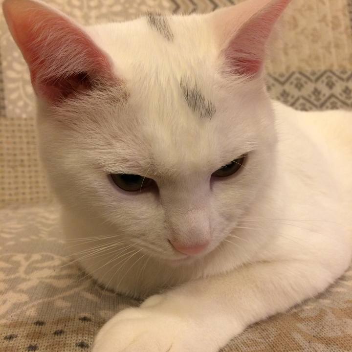 12cdcf34 e0d8 4119 84c1 d984b42a95a7