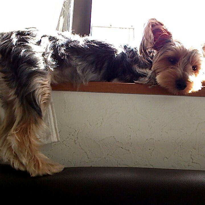 12ce13c3 e511 4cfe b021 0b0fec5f8b98