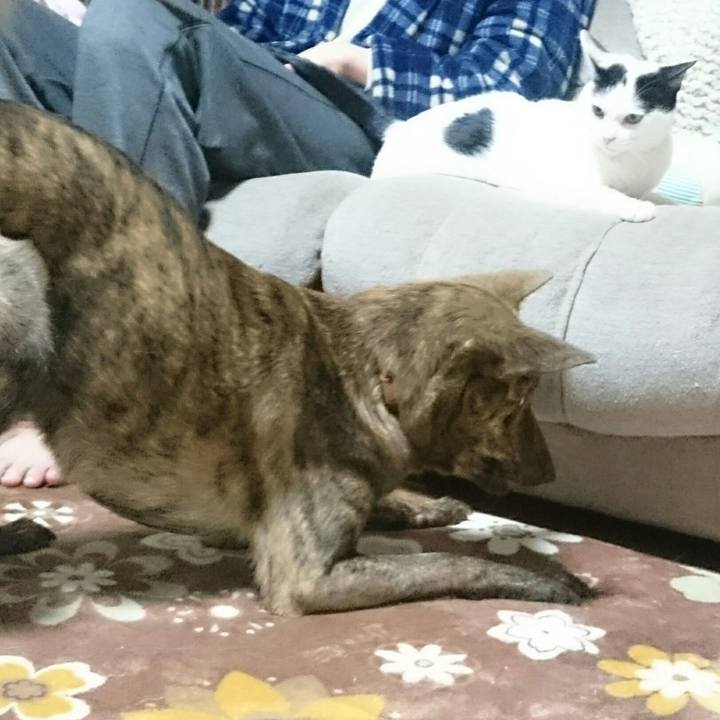 12ce4b63 aada 4ed4 8eab 6549e38d09e7