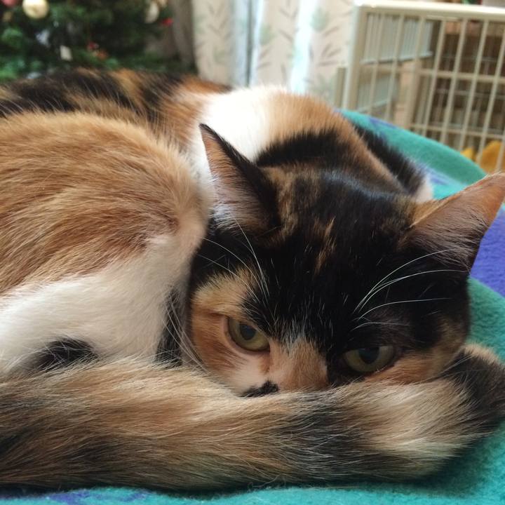 12ce75ff 845f 4077 853b 297b4515db04