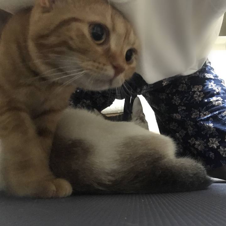 12ce9f3b 70ee 49e8 8d41 c3bd5e526fe9