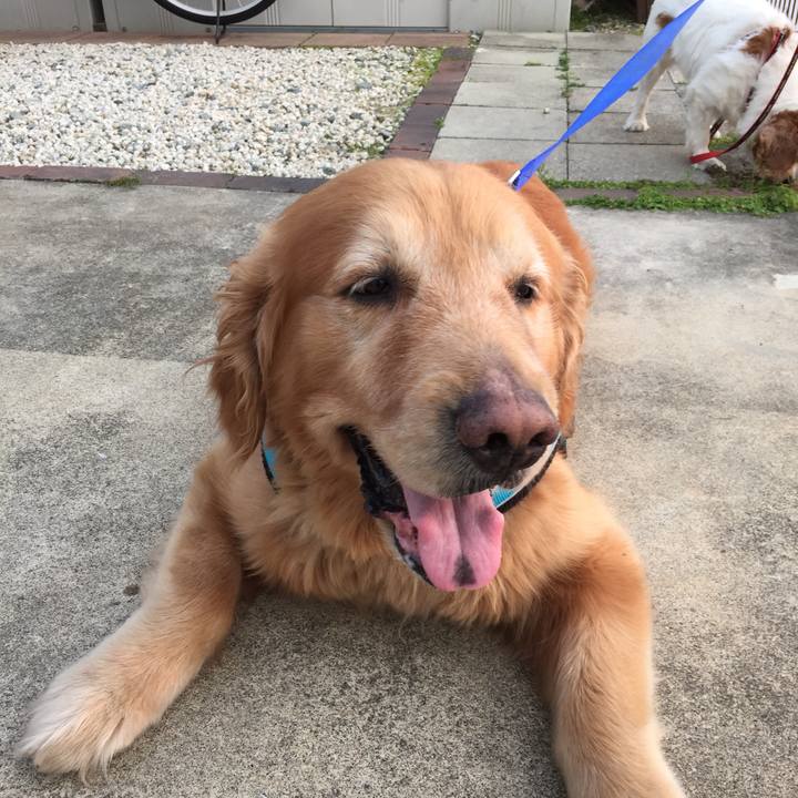 12ceea33 a2e5 4af6 8ae0 5dcbe7764c9b