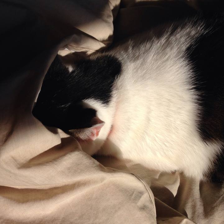 12cf711e d5b4 454d 99a1 440fd67af5a3