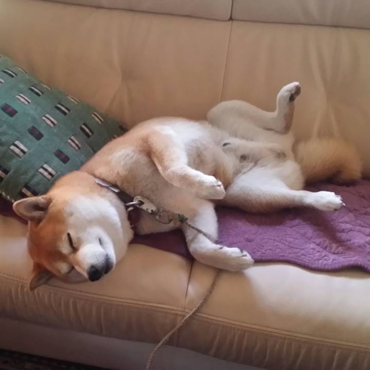 12cff288 0e03 4db1 a8fb 3f248ed4a807