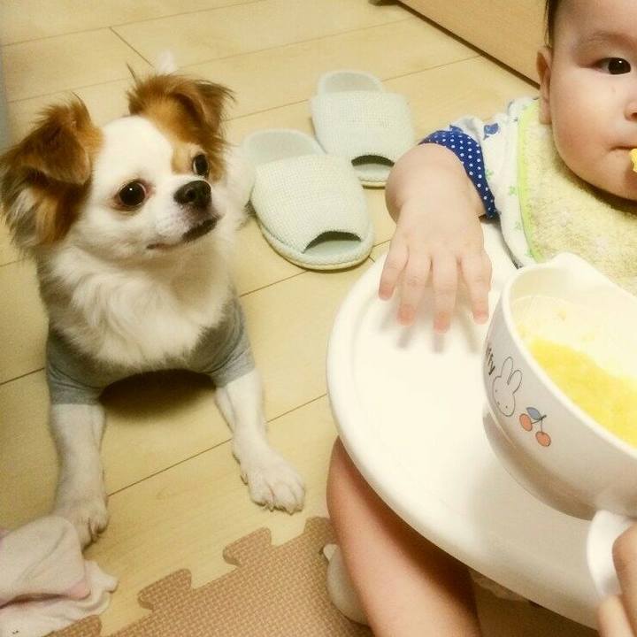 12d04424 b876 4cf8 aff7 89079b530e02