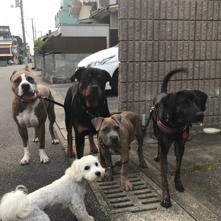 12d085ca 1ad0 4ee3 8ffd 7357ab5e1283