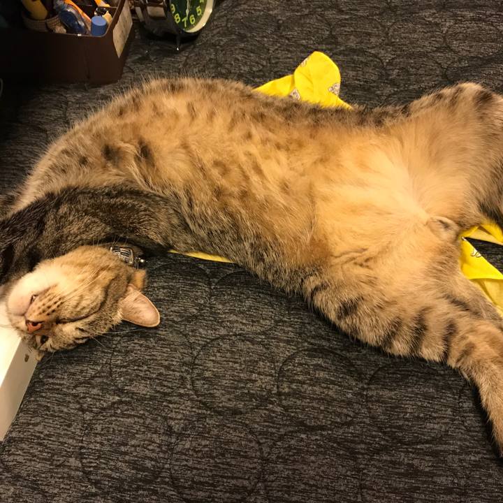 12d0a9ea 98c7 43f0 904d cc2673ebce95