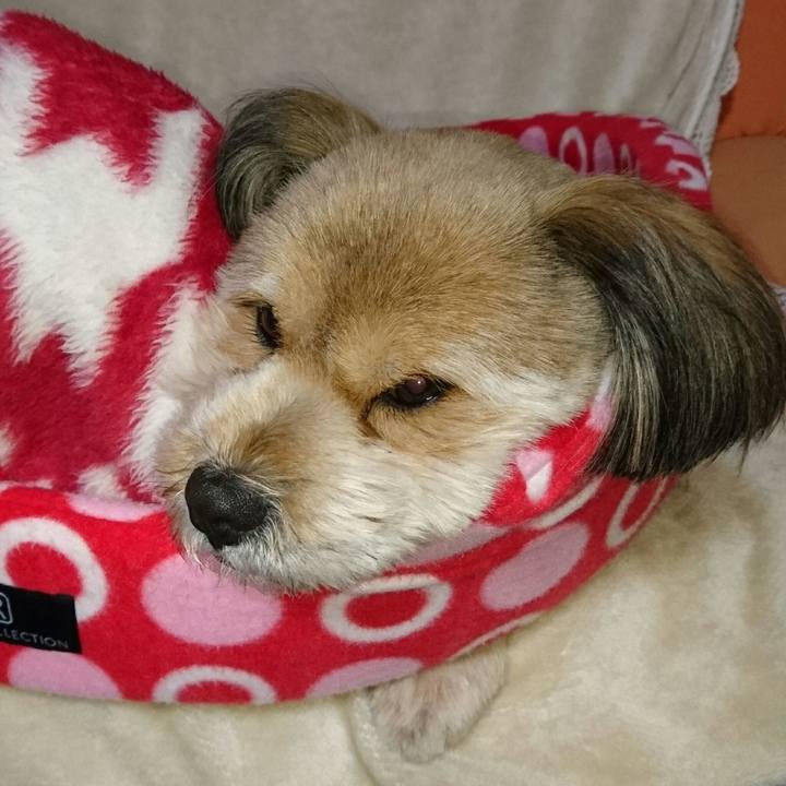 12d0b2fe 4bcd 404f a8ed 70555ca8f887