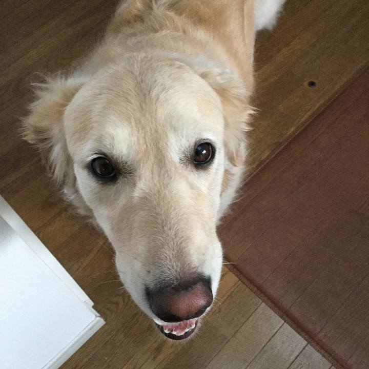 12d0dfb6 3f81 4b28 b406 1a1fe2f25fbe