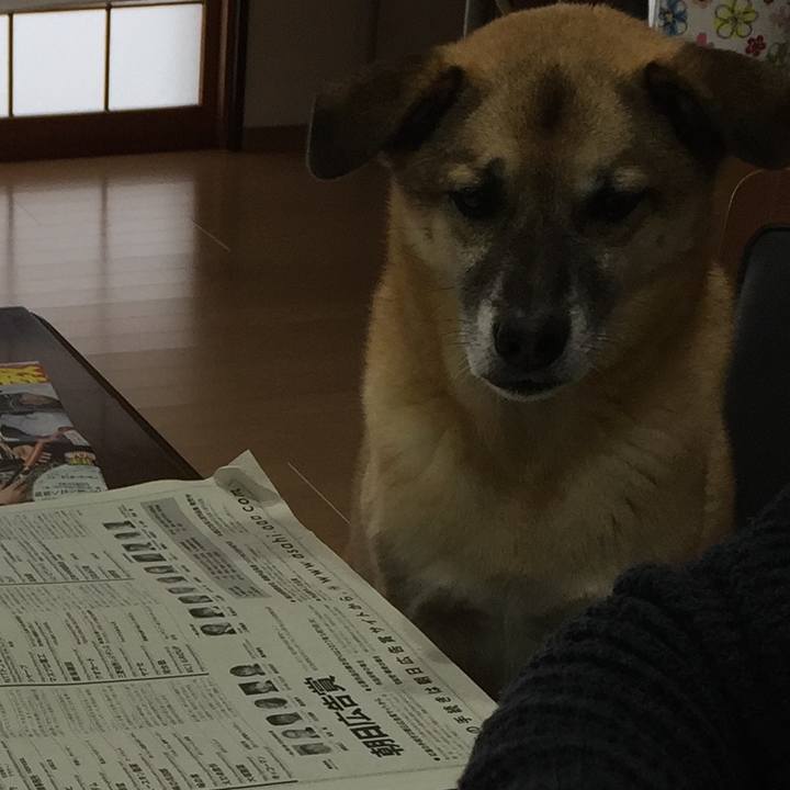 12d1d39d a27d 4ab1 8e94 18a6605ffd5f