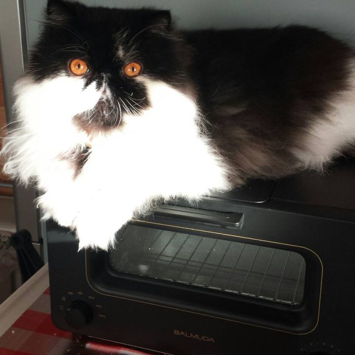 12d29939 1c17 4114 b996 fd04ae8ed063