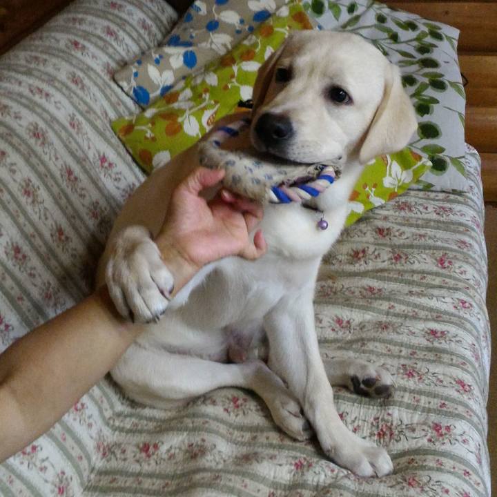 12d2e0ce 0a33 4cc5 b93f b0536918c3df