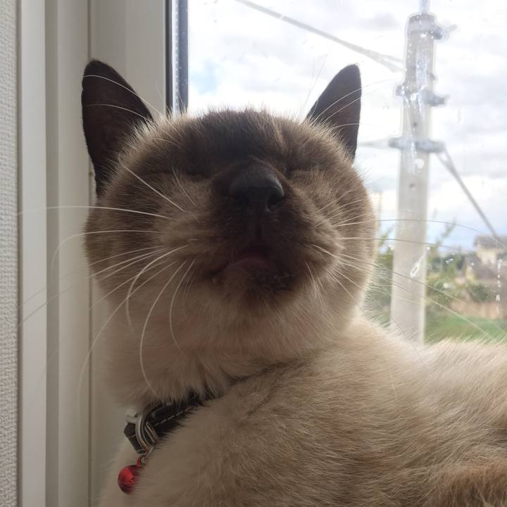 12d35b18 8c70 45a7 a94b fe15abcad203