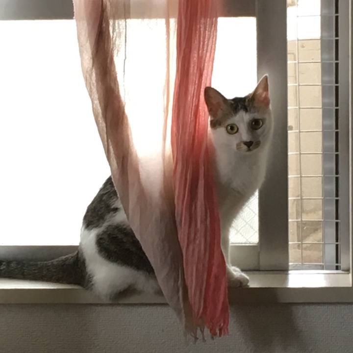 12d403b4 54fb 4089 b4b5 cf825e84cbbb