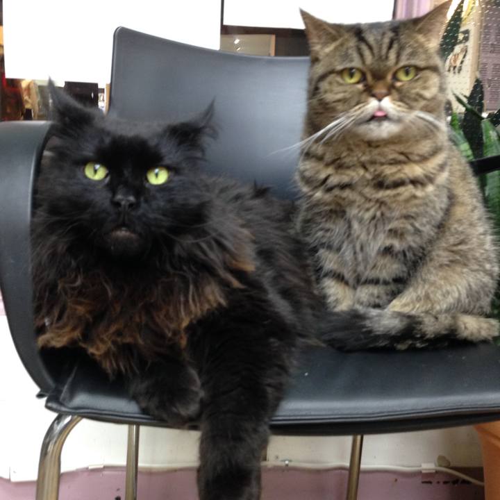 12d4201a 4623 421e 9bcd ddd40f122b99