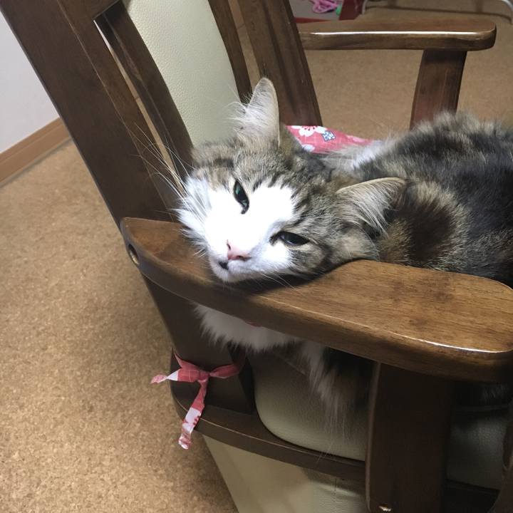 12d45cc8 8a56 499a 96a3 265ebea5885c