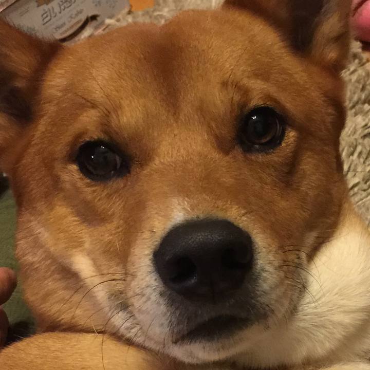 12d45f2c c36b 4371 8bb2 8ce9cc7c76aa