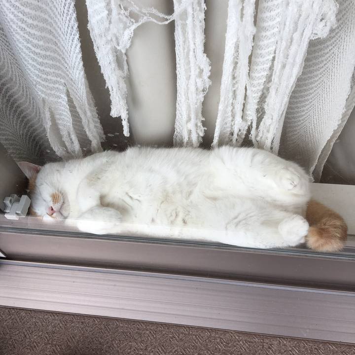 12d59fa8 0181 4173 adc1 5f6aee2798c5