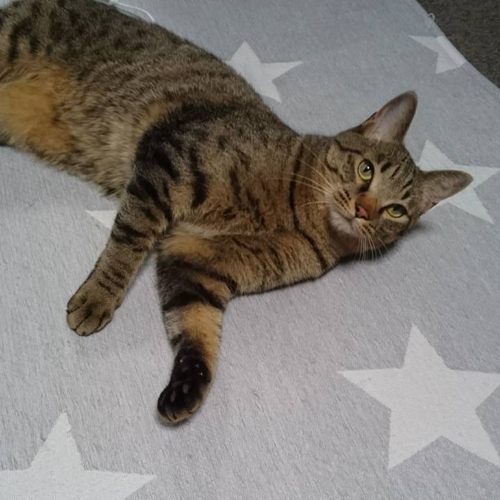 12d601f0 8a68 497e 87b6 eb6433045a6b