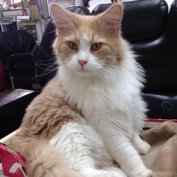 12d689f6 76ea 4862 9e7d c220ab2725ba