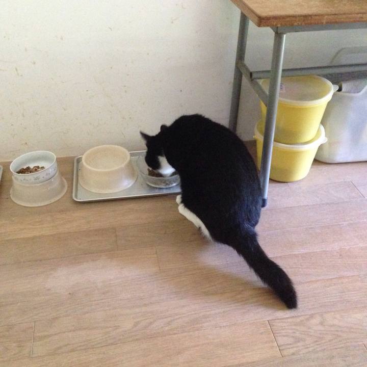 12d74baf 3161 4654 a942 b953722fbb1e