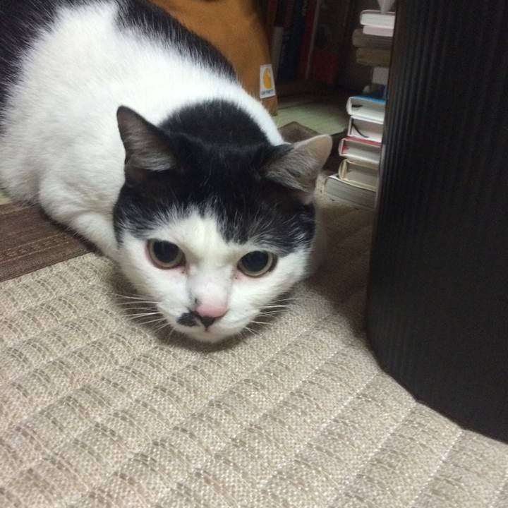 12d7b4d0 bf64 4ffa 9f81 9fc0c0fbc66d