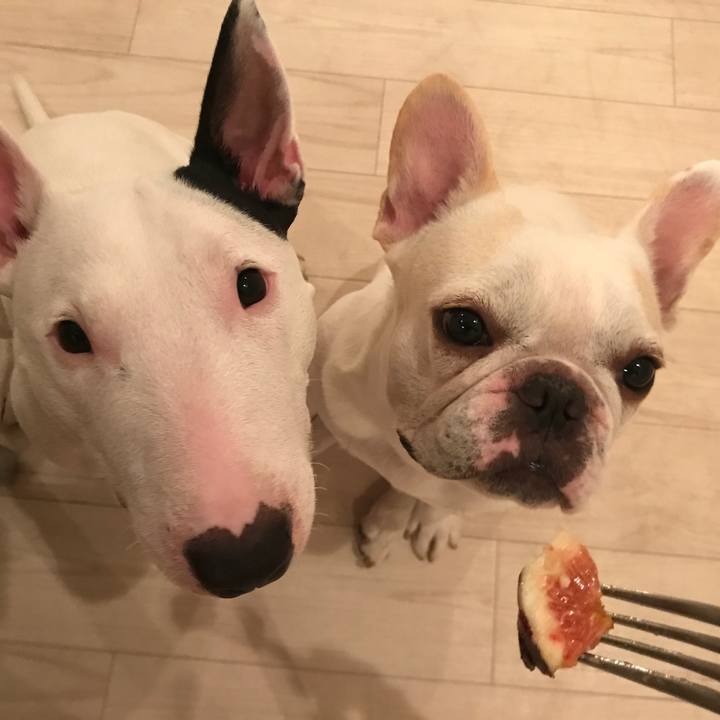 12d898e6 0554 4251 8938 5b1b10a68ec7