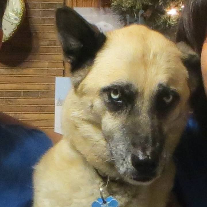 12d8b63d d19b 49f4 88ae 2656391fa9a5