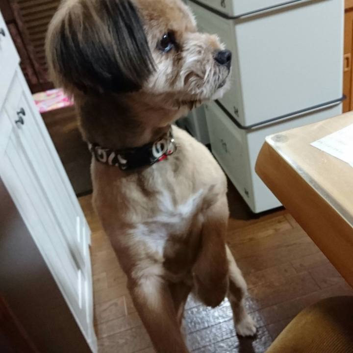 12d90313 3f9d 4efd 99dc e5b2b4b7b4b4