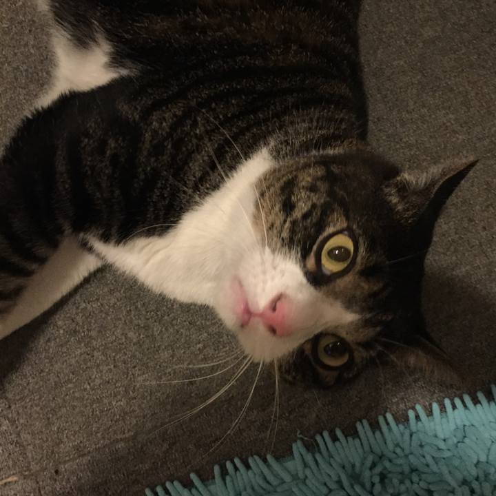 12d904d8 b7d1 4338 98b8 b14a5dff6b04