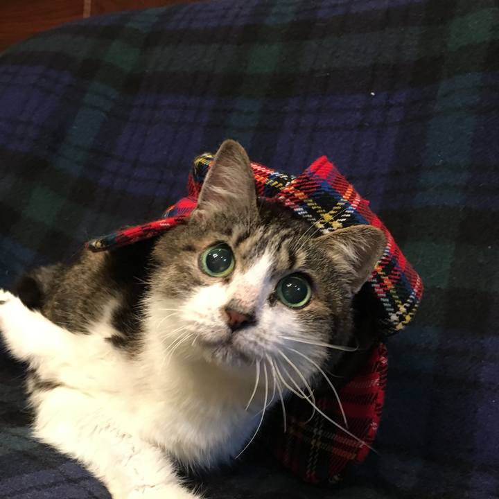 12d90918 4ffb 4ba7 856a 8a5426d05875