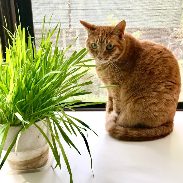 12d99c32 7825 4580 8cbf ed2c5af44217