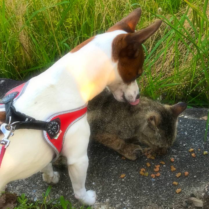 12d99d64 5209 403a bc7c 3fea2fa04d25