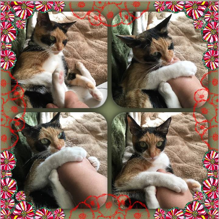 12d9cca0 448d 4e86 a11f 31b52ebe429b