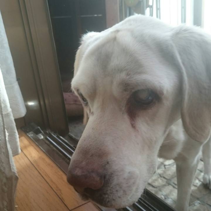 12d9d8fe f706 4638 a5b7 1b85f1fcb7de