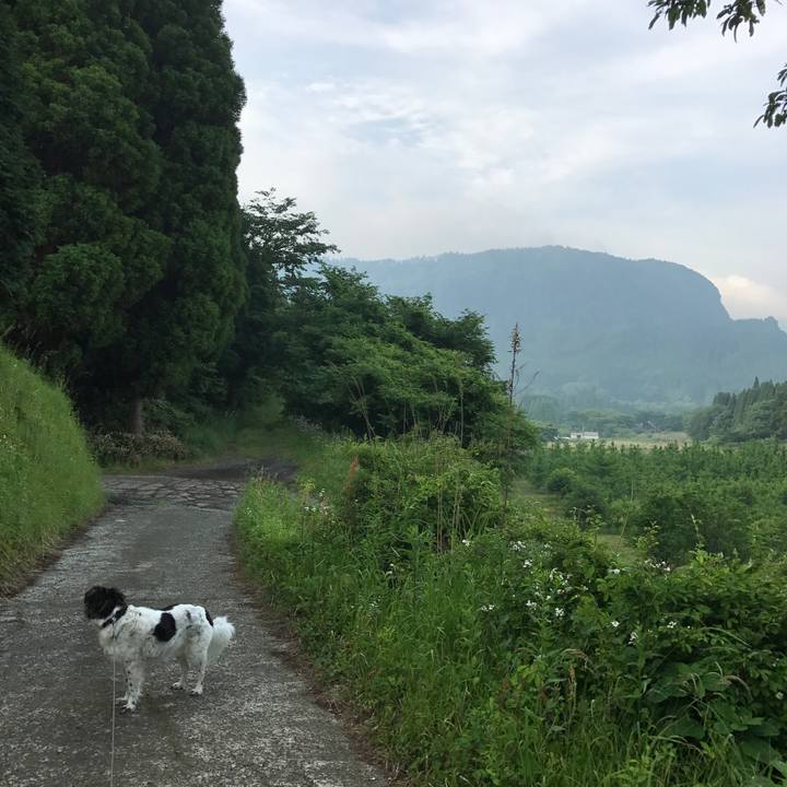 12d9e793 bc32 46ea a4a0 7c43a80f24d5