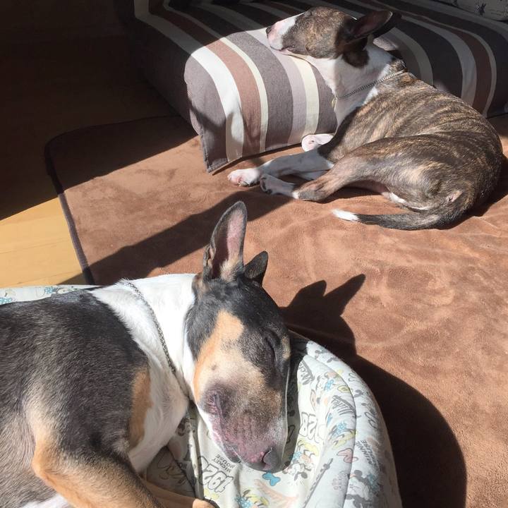 12d9fbae 1647 4aae b27a 42a91dec3e8e